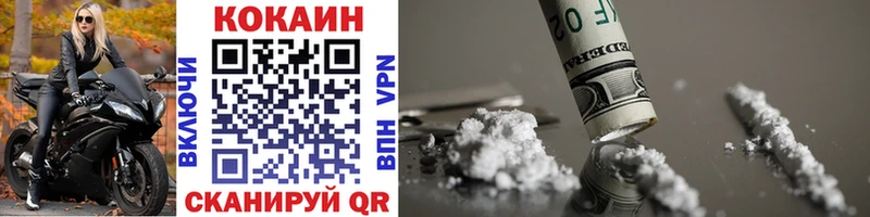 Купить закладки  Гдов  КОКАИН FishScale 