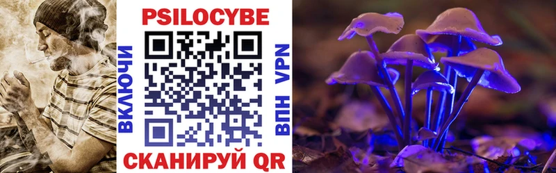Купить где  Гдов  Галлюциногенные грибы GOLDEN TEACHER 